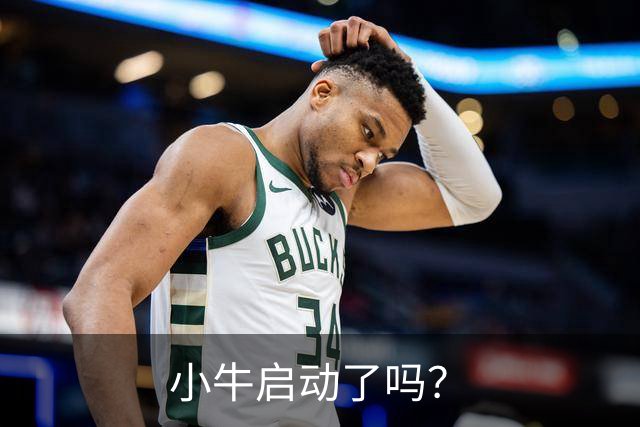 小牛启动了吗？